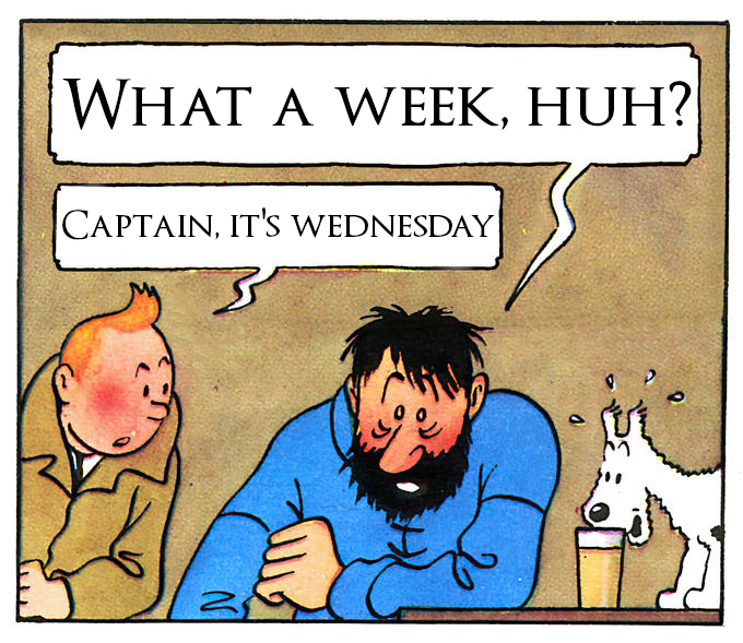 sob - wednesday